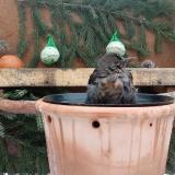 photo 2024-01-24 09-13-00