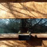 photo 2023-02-06 10-18-12