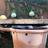 photo 2024-01-04 10-41-30