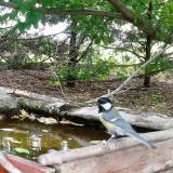 photo 2022-05-06 09-27-33 szencinege