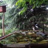 photo 2023-05-15 19-22-33