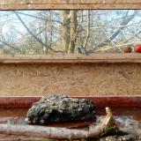 photo 2022-02-04 14-49-21