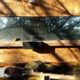 photo 2023-12-04 09-15-04