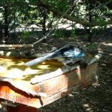 photo 2022-07-27 15-22-00 szajko