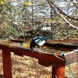 photo 2022-10-23 12-54-43