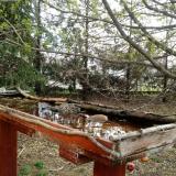 photo 2022-04-05 09-25-49