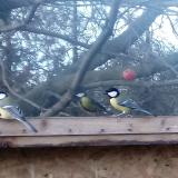 photo 2022-11-24 14-51-07