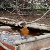 photo 2022-04-05 18-12-48 vorosbegy