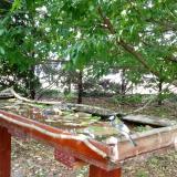 photo 2022-05-16 13-39-34