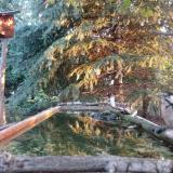 photo 2023-09-28 07-04-43