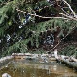 photo 2023-03-22 15-57-20