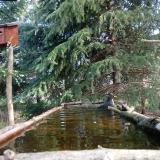 photo 2023-04-02 10-14-27