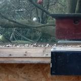 photo 2023-01-11 12-43-16