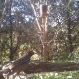 photo 2024-09-30 15-03-17