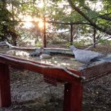 photo 2022-06-29 05-08-47