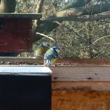 photo 2023-01-02 13-13-29