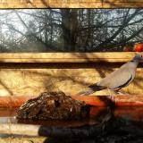 photo 2022-02-14 09-13-17