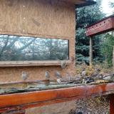 photo 2022-11-28 12-33-39