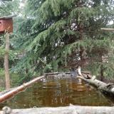 photo 2023-04-01 12-09-00