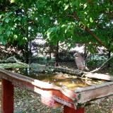 photo 2022-05-12 16-25-26