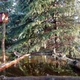 photo 2023-03-31 07-49-47