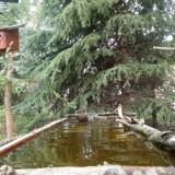 photo 2023-04-03 11-59-29