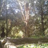 photo 2024-09-30 15-12-06