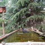 photo 2023-04-10 13-59-04