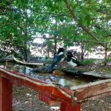 photo 2022-06-01 12-08-31