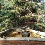 photo 2023-03-13 15-23-59