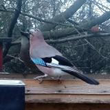 photo 2022-12-11 11-54-35