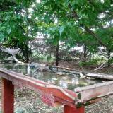 photo 2022-05-10 16-48-16