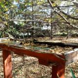 photo 2022-10-19 11-20-49