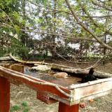 photo 2022-04-08 12-38-17