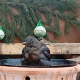 photo 2024-01-24 09-13-19 2