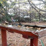 photo 2022-10-22 08-20-15