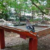 photo 2022-06-20 18-27-07