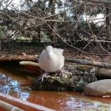 photo 2022-02-17 10-20-42 gerle