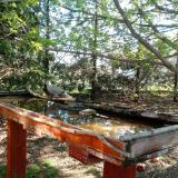 photo 2022-04-11 09-16-23