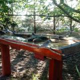 photo 2022-07-17 06-16-15