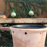 photo 2024-01-23 10-55-58