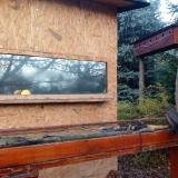 photo 2022-11-13 08-06-53