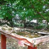 photo 2022-05-11 14-55-52