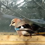 photo 2022-12-12 09-24-17