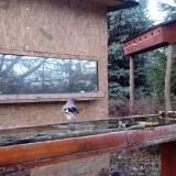 photo 2022-12-07 15-37-55