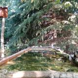 photo 2023-09-29 11-02-51