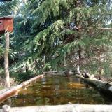 photo 2023-04-02 10-13-01