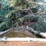 photo 2023-03-18 16-46-43