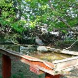 photo 2022-04-21 16-26-15