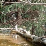 photo 2023-03-20 09-04-30 sargafeju kiralyka